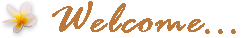 Welcome